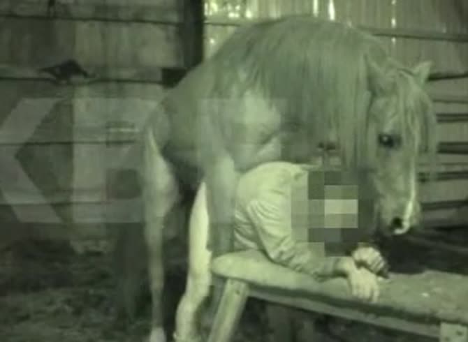 Video :Homemade beastiality sex with horse fucking a gay